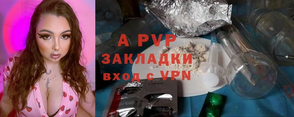 круглые Бородино